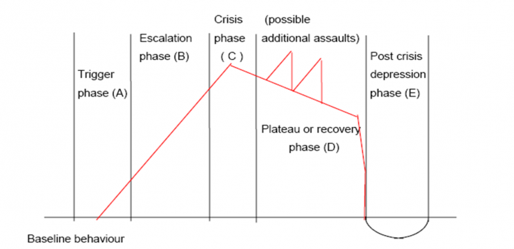 assault cycle