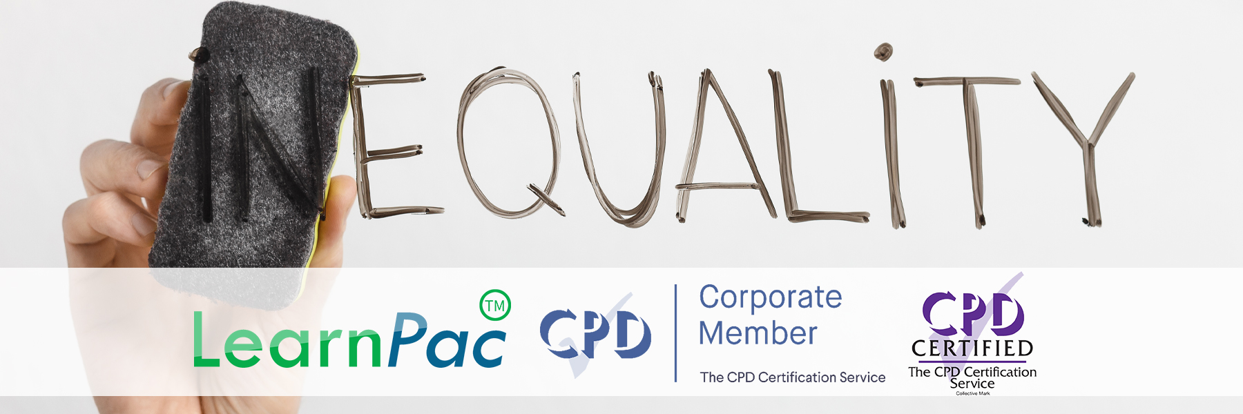 Equality and Diversity - E-Learning Courses - LearnPac Systems UK -