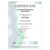 CSTF Non-Clinical Safeguarding Adults - CDPUK Accredited - LearnPac Systems -